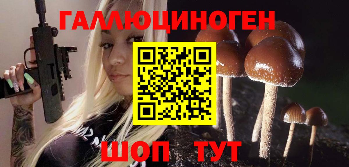 Галлюциногенные грибы мицелий Кимовск